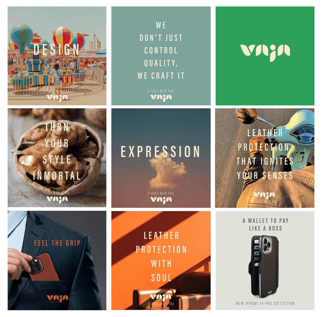 Vaja ig