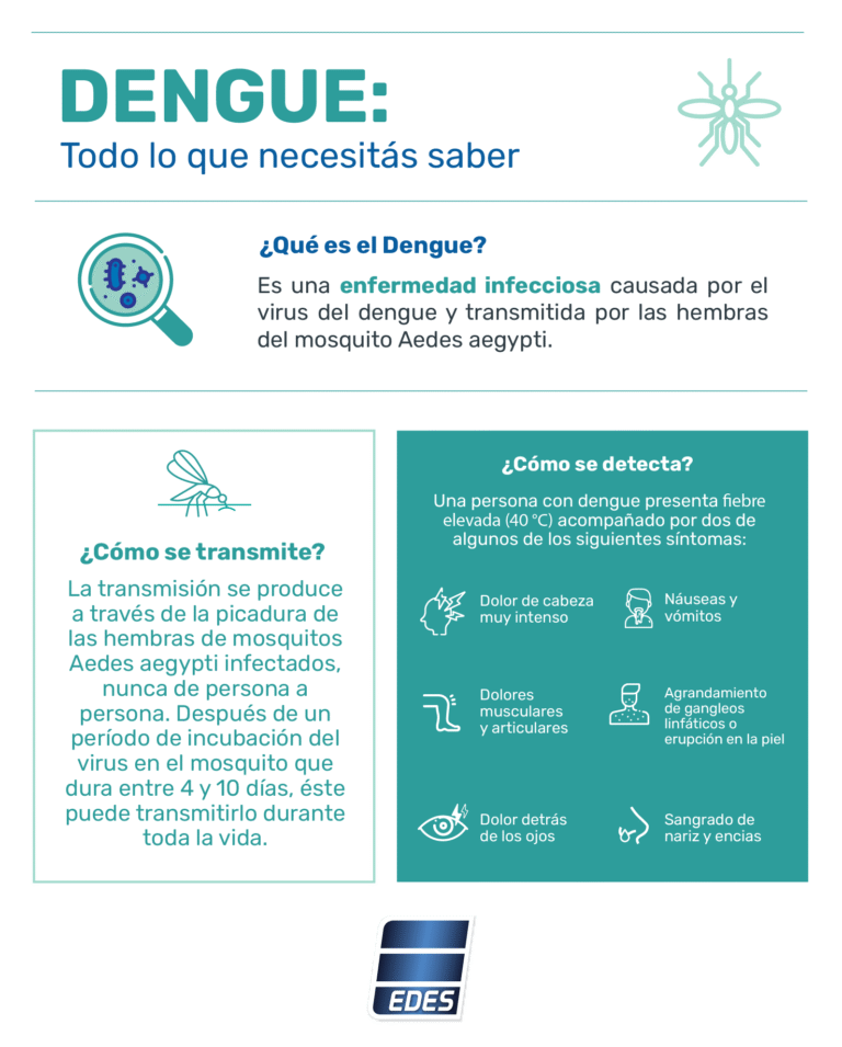 Edes news dengue